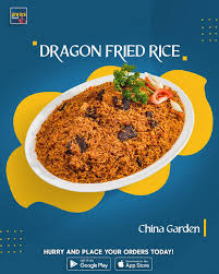 Chicken Dragon Rice